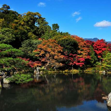 Taman Agung Tenryuji, Kyoto